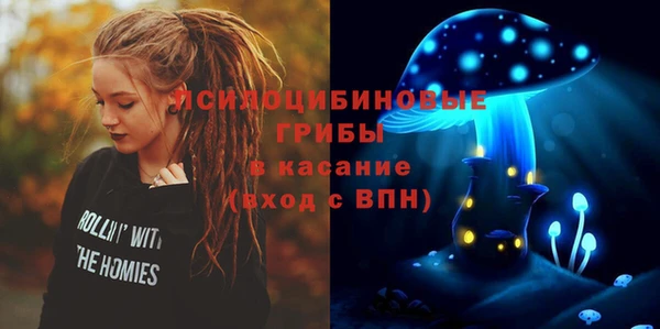 прущие грибы Абдулино