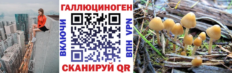 Псилоцибиновые грибы ЛСД  даркнет сайт  Инсар 